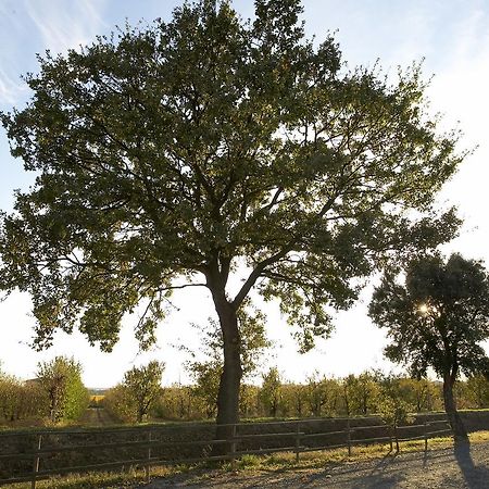 Agriturismo Lucerna Del Lago Prile Castiglione della Pescaia Eksteriør billede