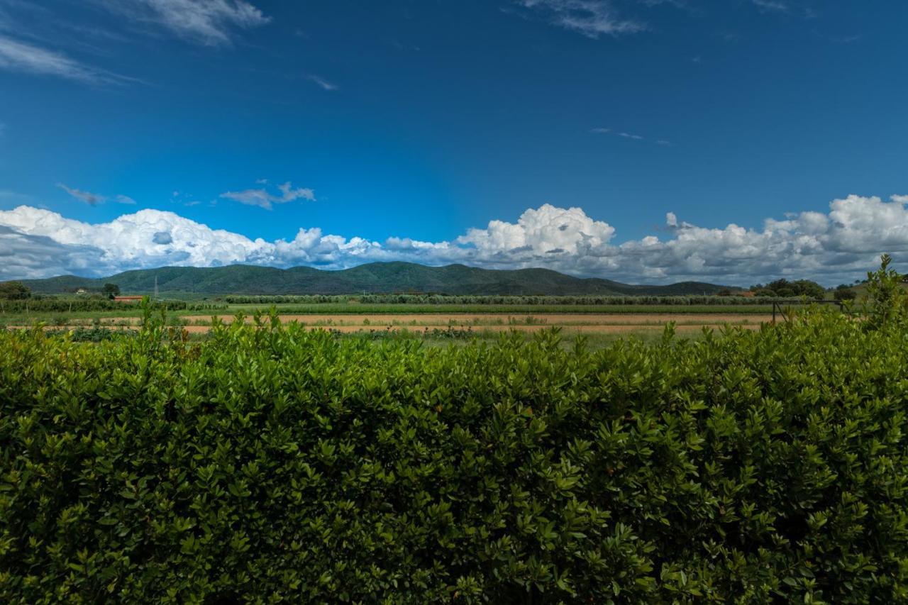 Agriturismo Lucerna Del Lago Prile Castiglione della Pescaia Eksteriør billede
