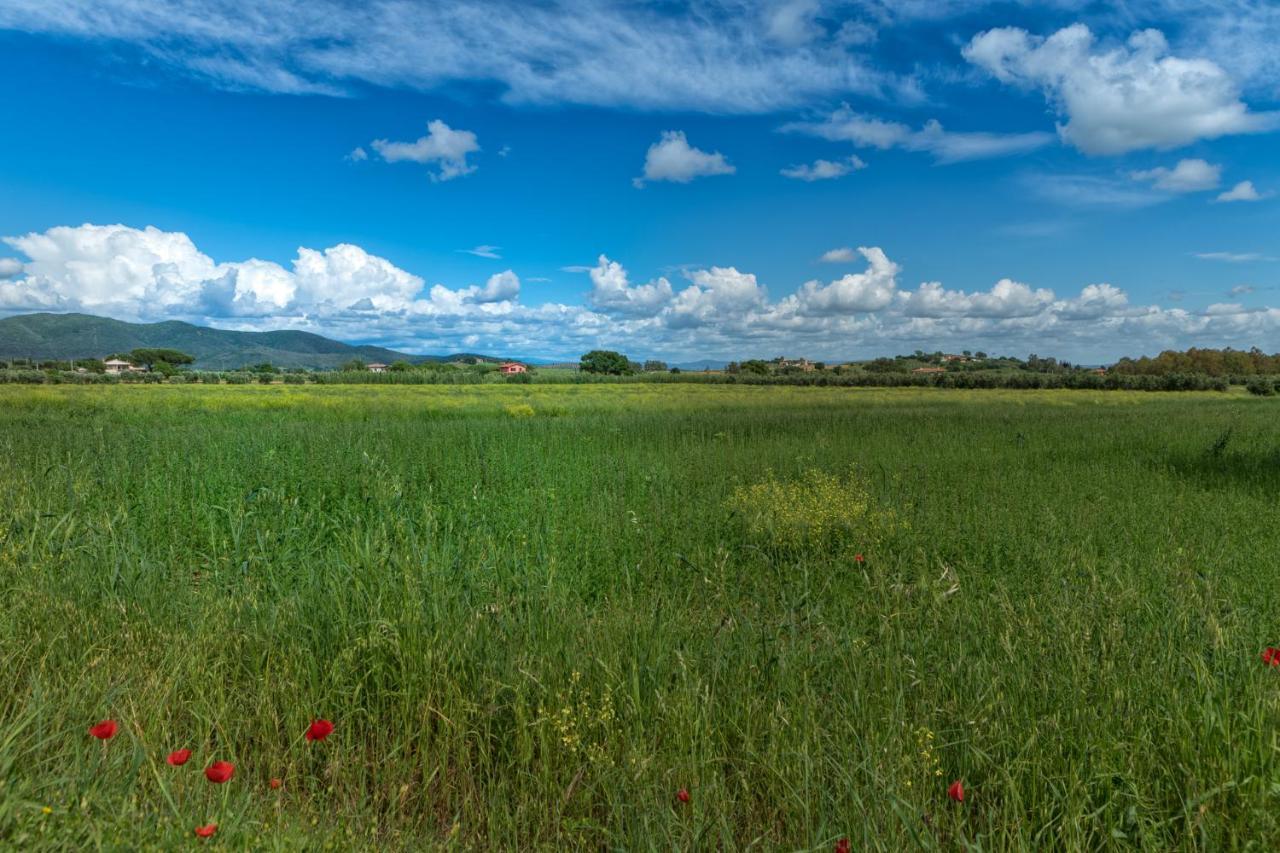 Agriturismo Lucerna Del Lago Prile Castiglione della Pescaia Eksteriør billede